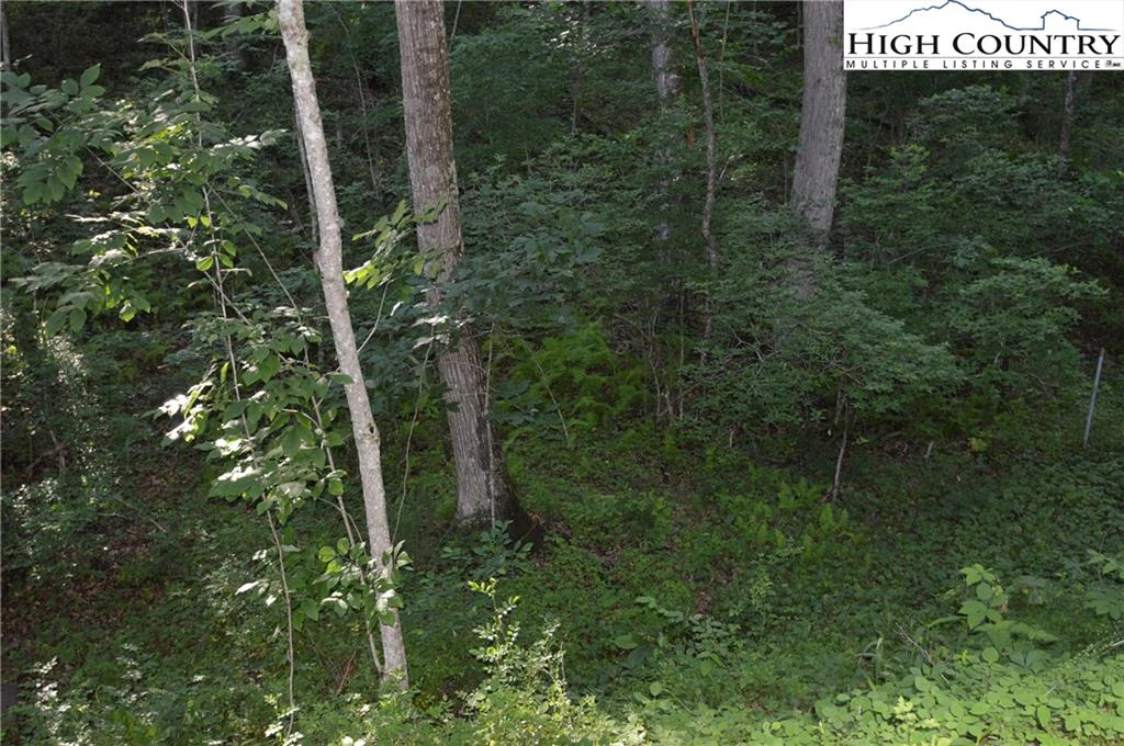 Image number 11 for the current listing