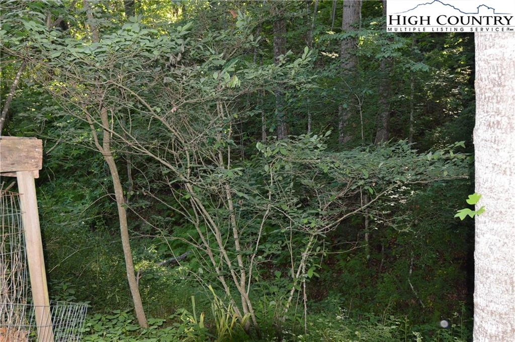 Image number 12 for the current listing