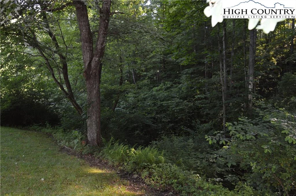 Image number 15 for the current listing