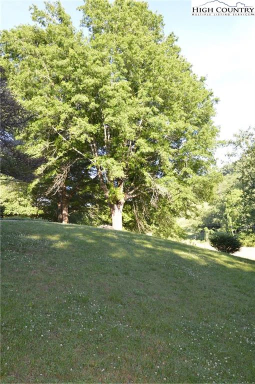 Image number 16 for the current listing