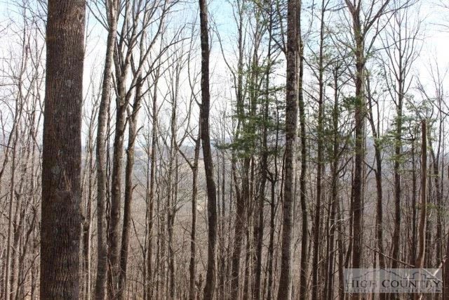 Image number 5 for the current listing
