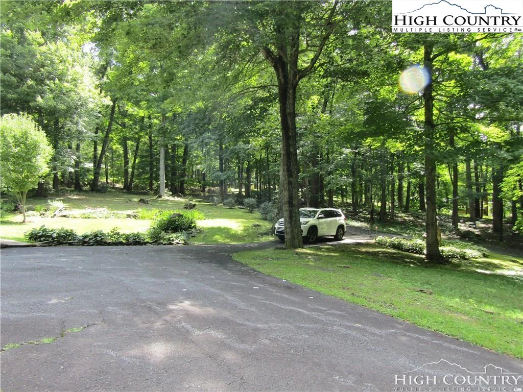 Image number 4 for the current listing