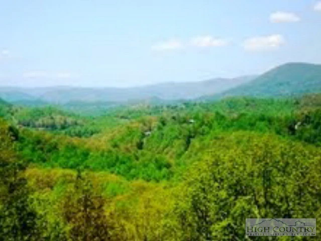 Image number 4 for the current listing