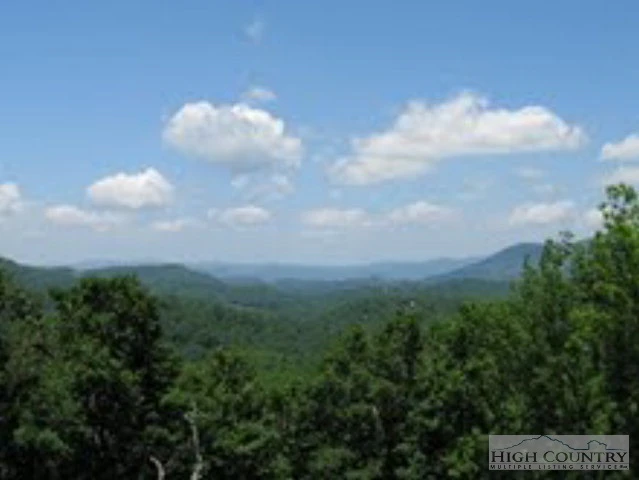 Image number 5 for the current listing