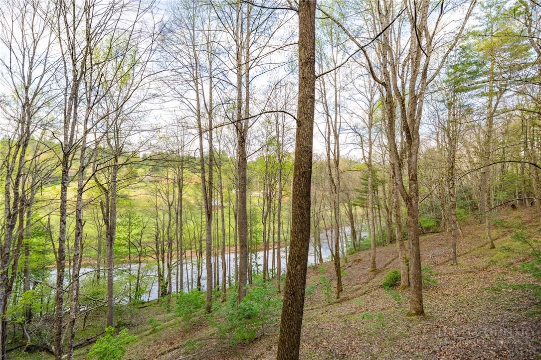 Image number 16 for the current listing