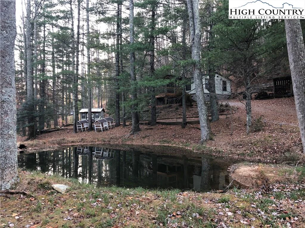 Image number 1 for the current listing