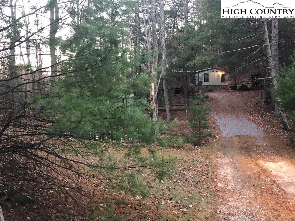 Image number 2 for the current listing