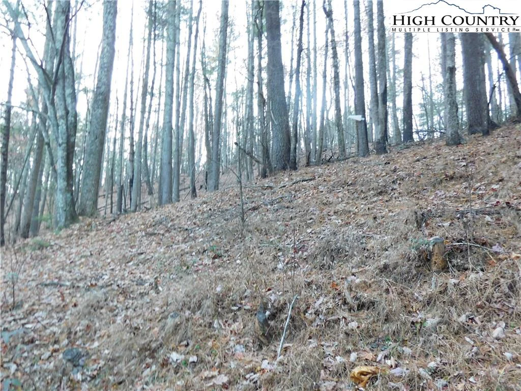 Image number 17 for the current listing