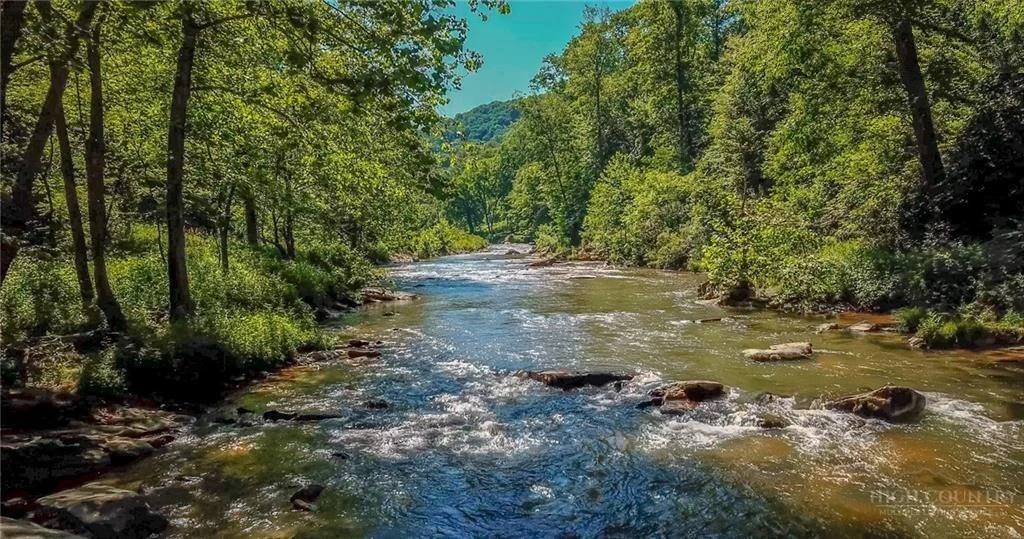 Image number 5 for the current listing