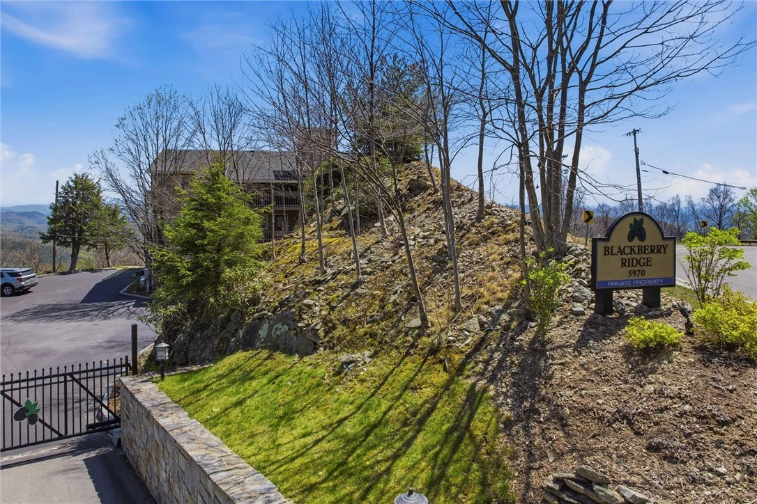 Image number 5 for the current listing