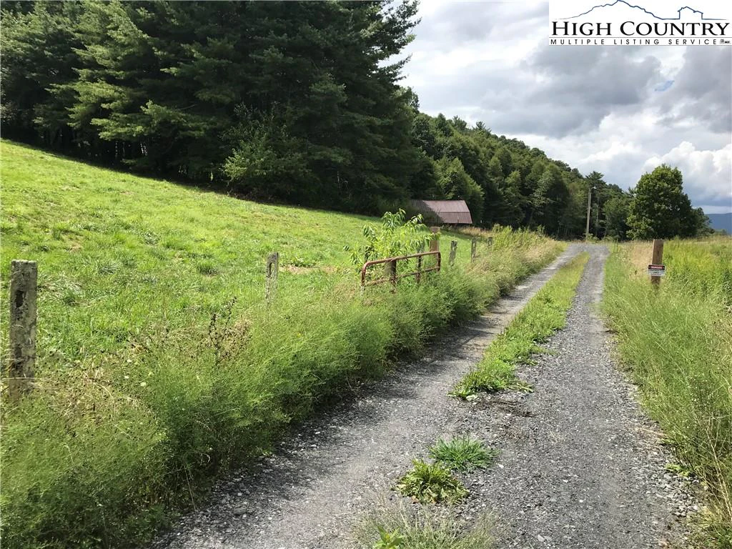 Image number 2 for the current listing