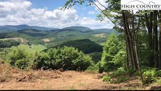 Image number 18 for the current listing