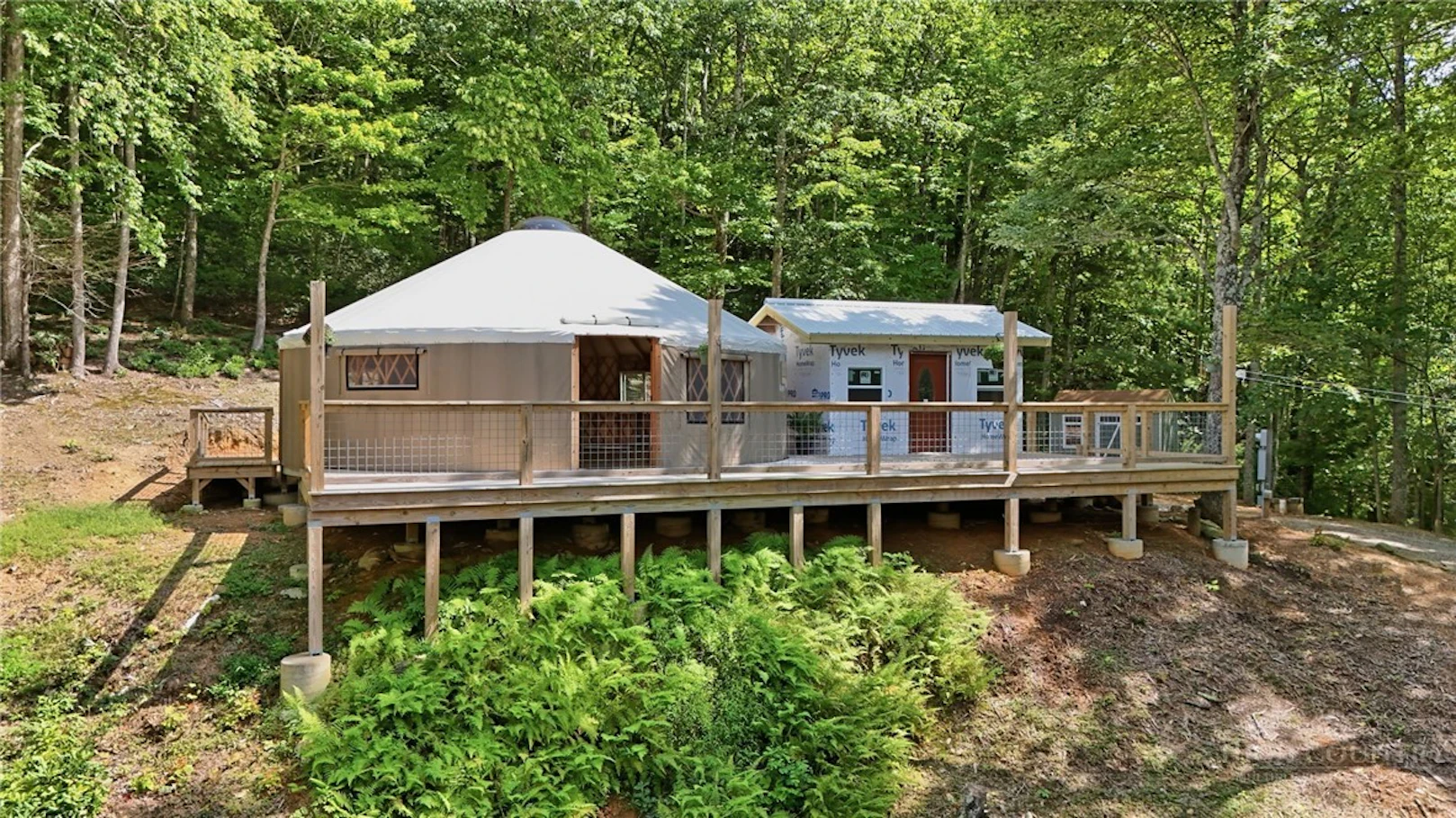Image number 4 for the current listing