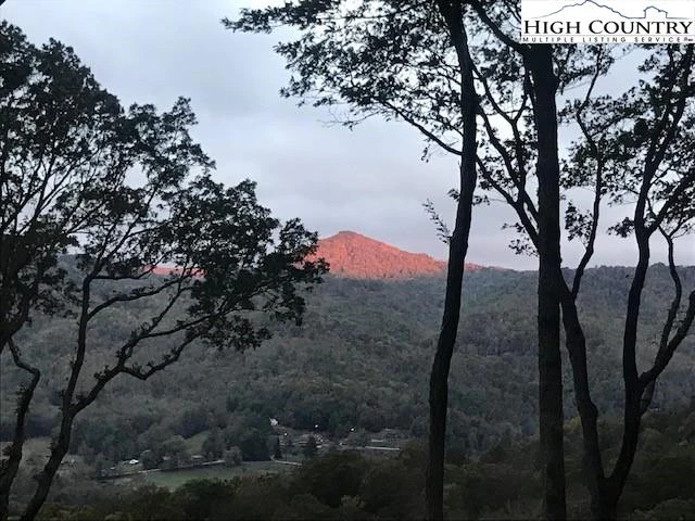 Image number 3 for the current listing