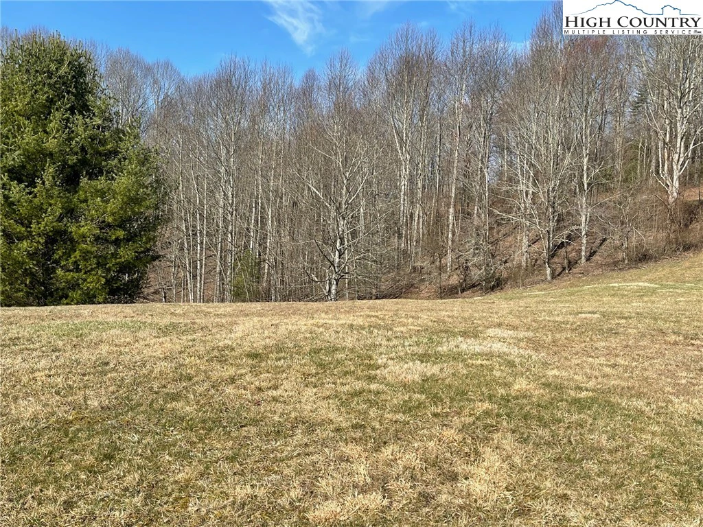 Image number 4 for the current listing