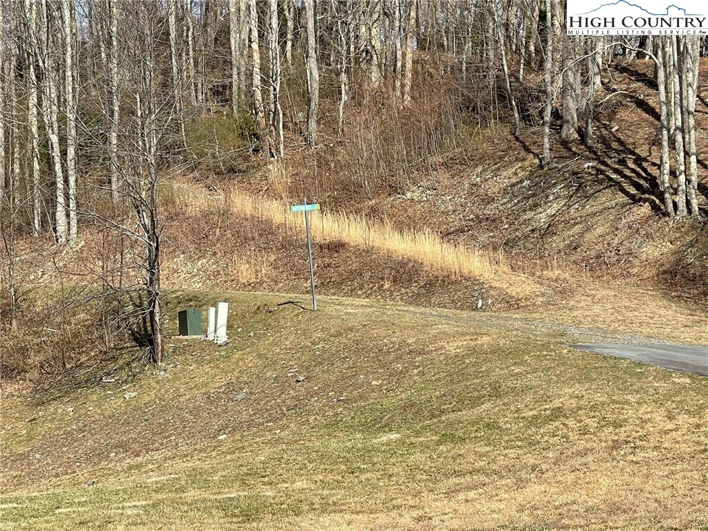 Image number 5 for the current listing