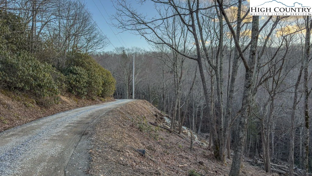 Image number 4 for the current listing