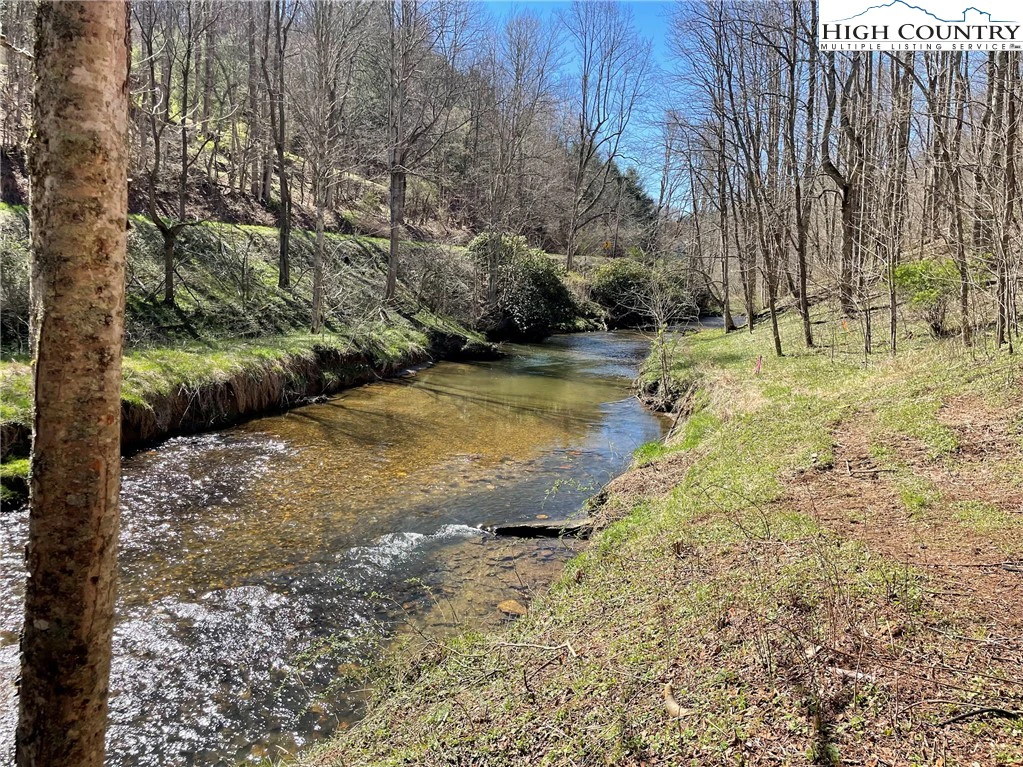 Image number 2 for the current listing