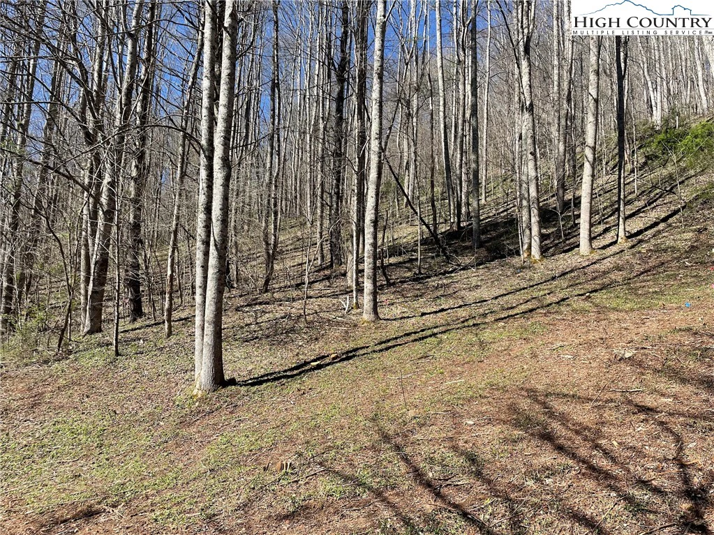 Image number 11 for the current listing