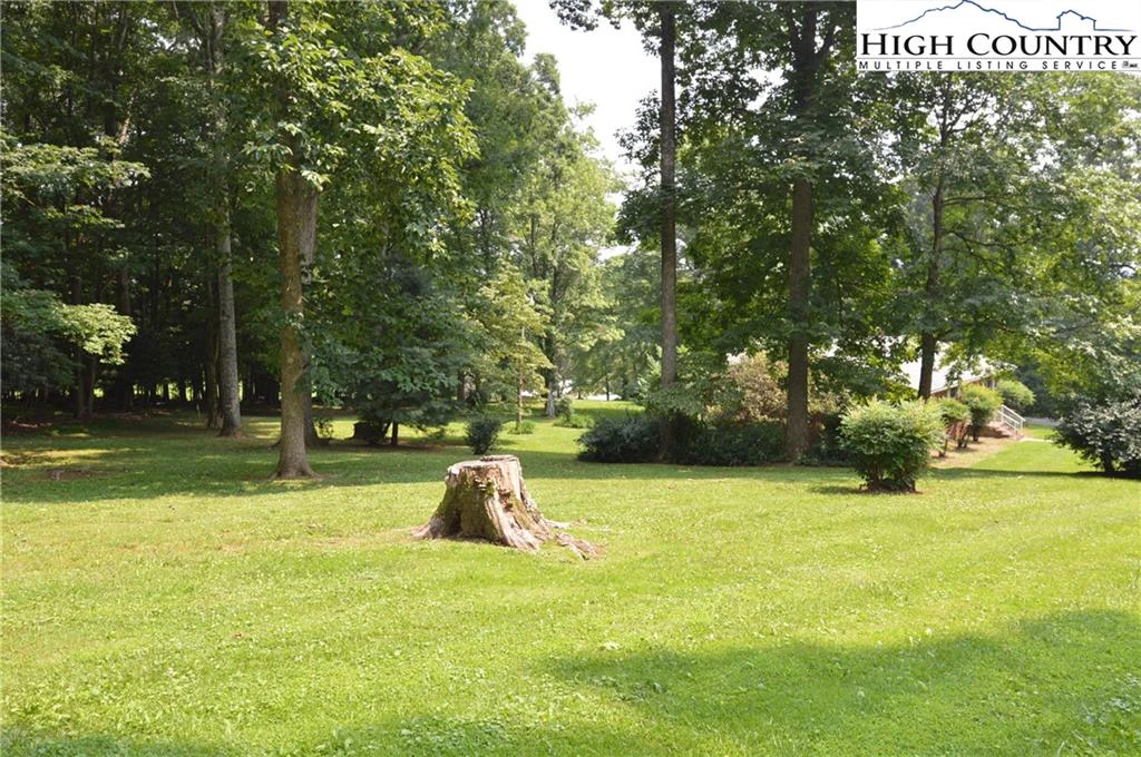 Image number 11 for the current listing