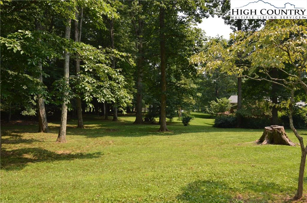 Image number 2 for the current listing
