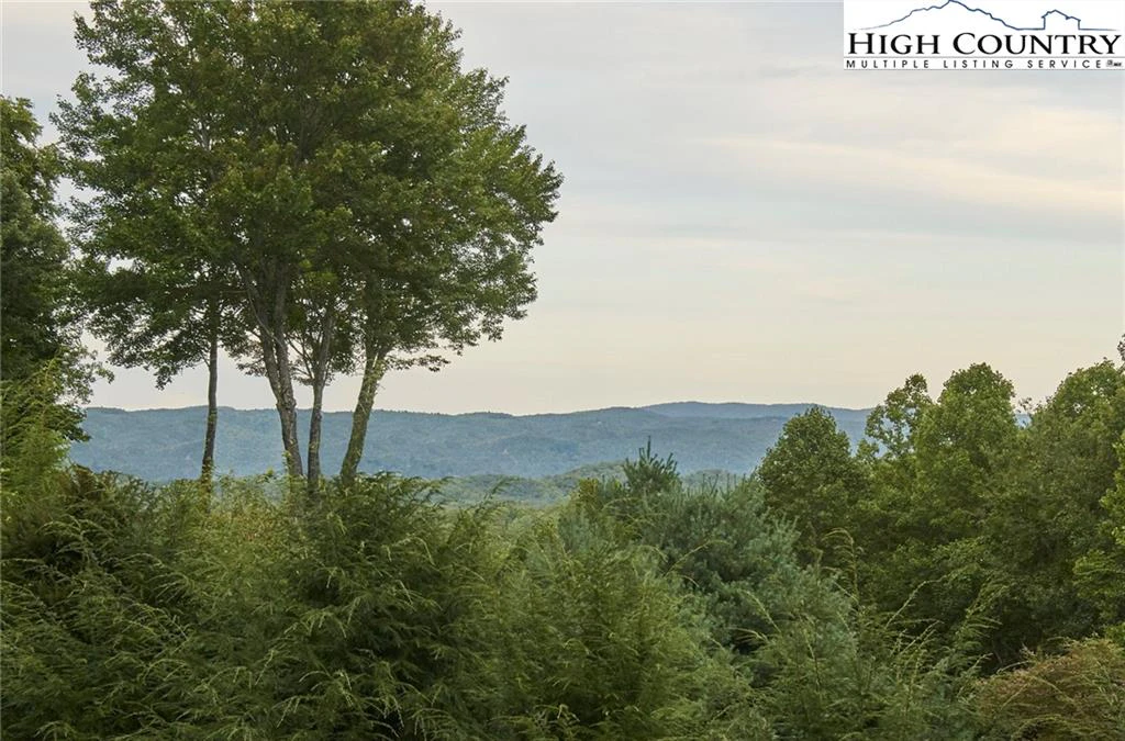 Image number 12 for the current listing