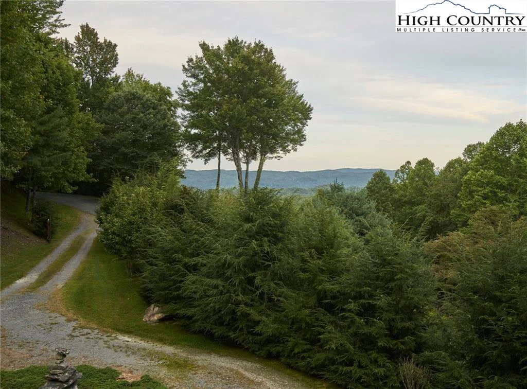 Image number 21 for the current listing