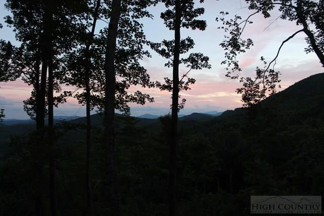 Image number 14 for the current listing