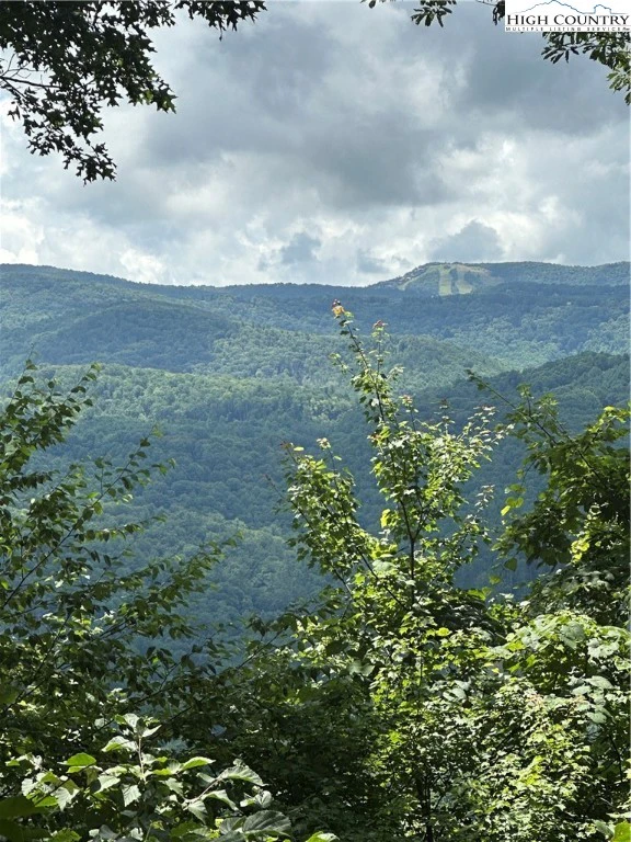 Image number 6 for the current listing