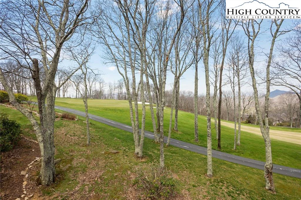 Image number 4 for the current listing