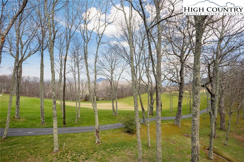 Image number 3 for the current listing