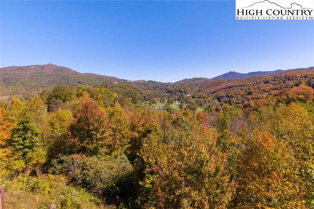 Image number 6 for the current listing
