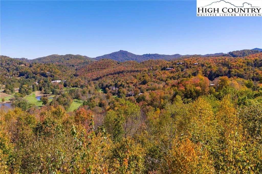 Image number 7 for the current listing