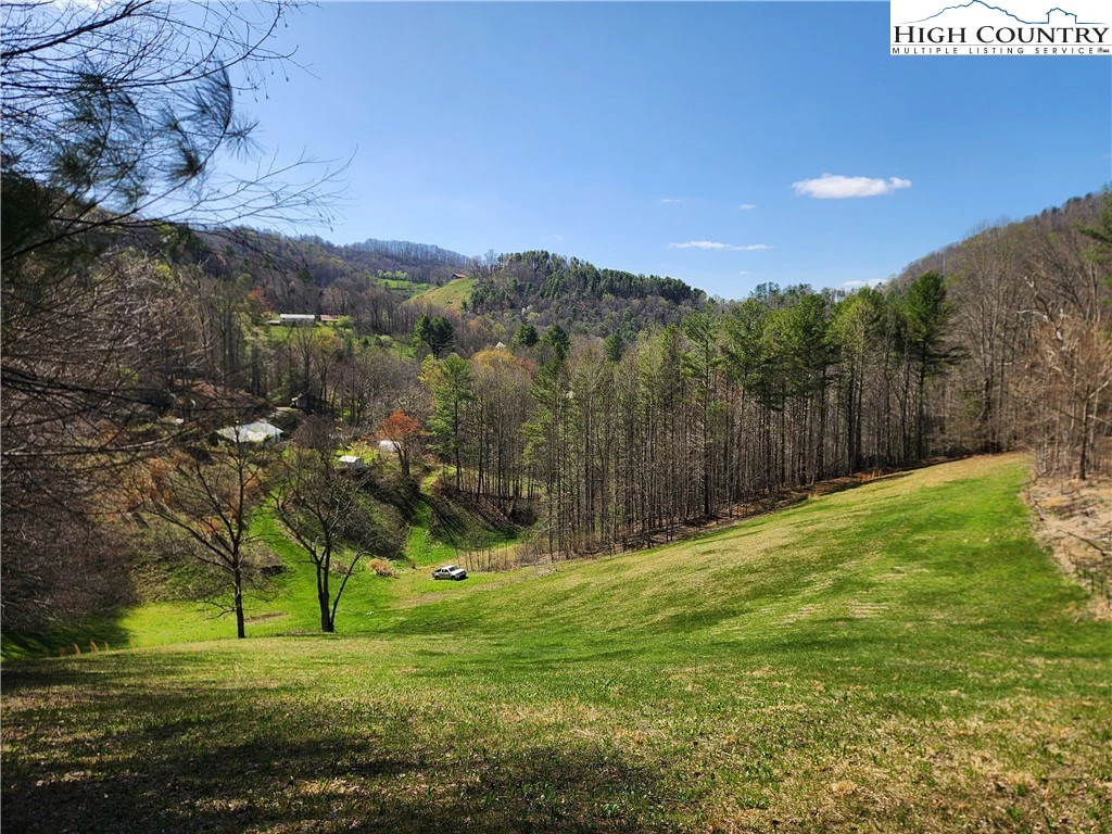 Image number 1 for the current listing