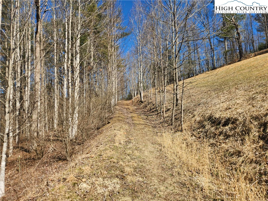 Image number 17 for the current listing