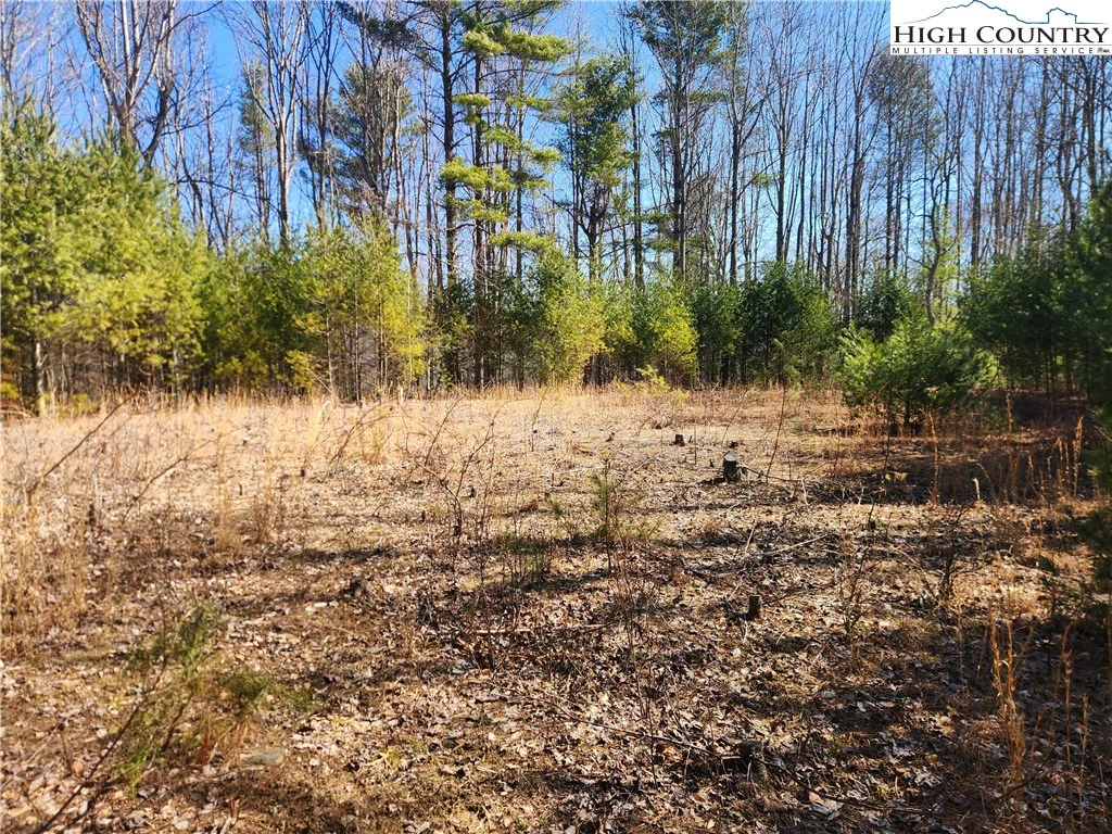 Image number 15 for the current listing