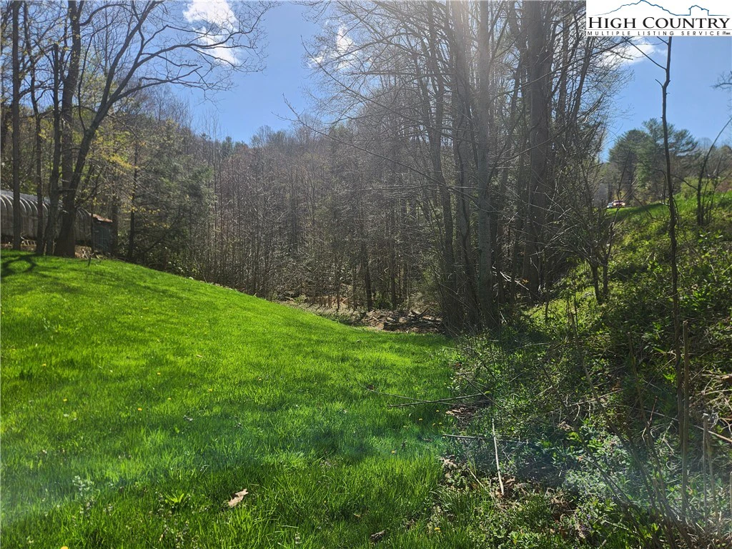 Image number 14 for the current listing
