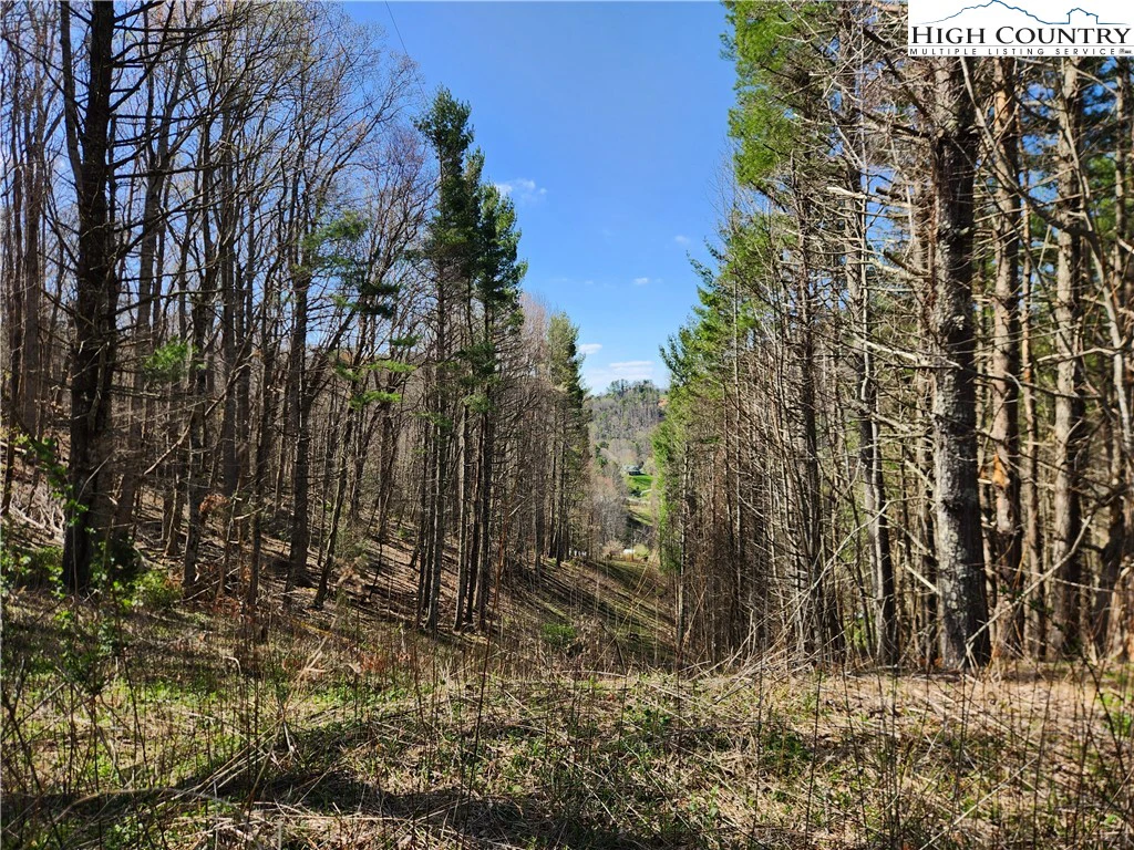 Image number 9 for the current listing