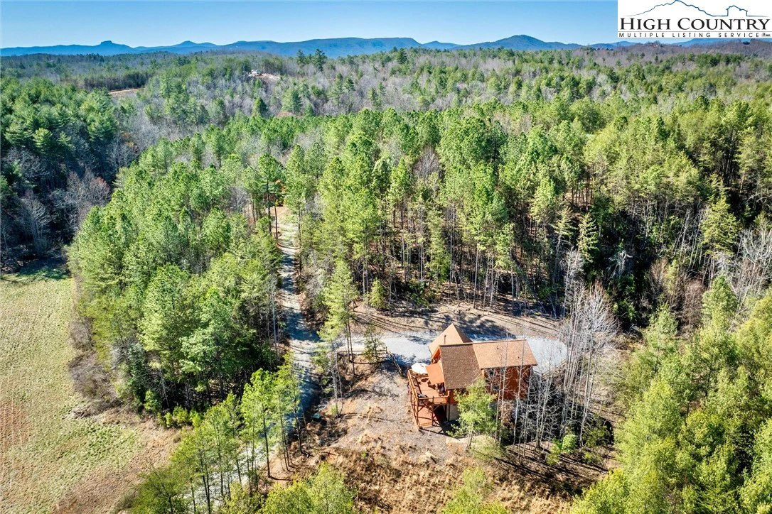 Image number 1 for the current listing