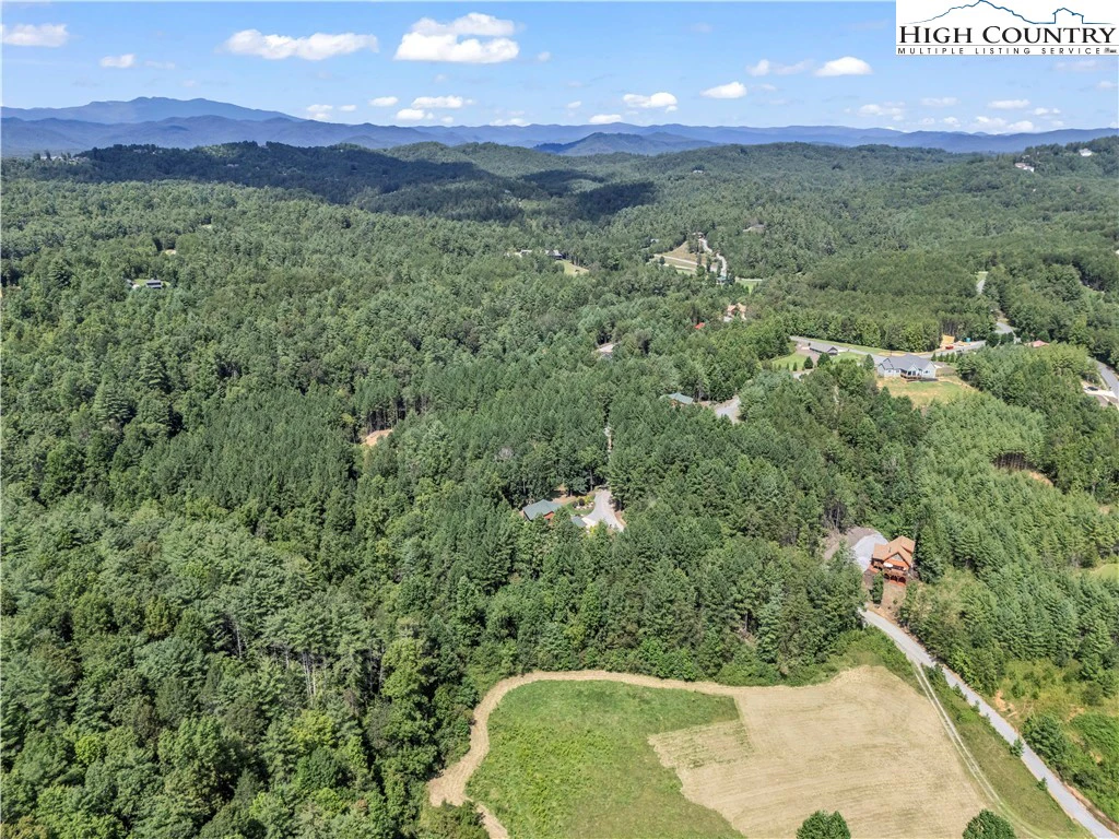 Image number 11 for the current listing