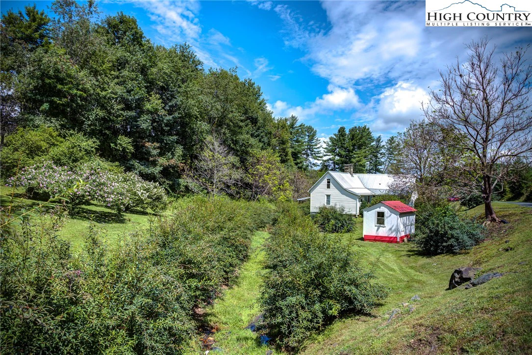 Image number 1 for the current listing
