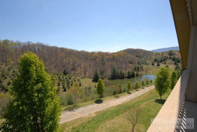 Image number 2 for the current listing