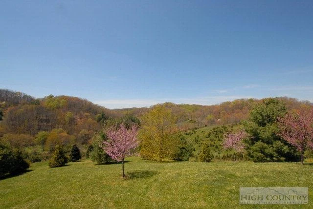 Image number 10 for the current listing