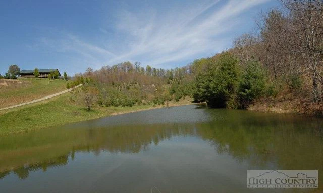 Image number 9 for the current listing
