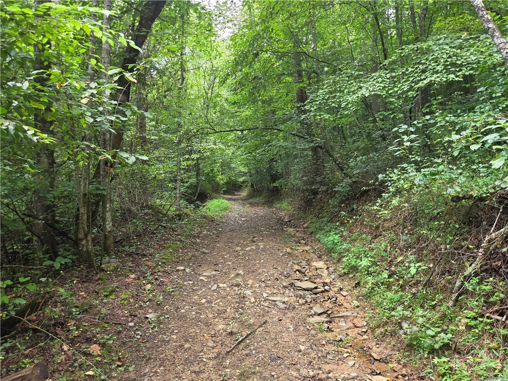 Image number 4 for the current listing