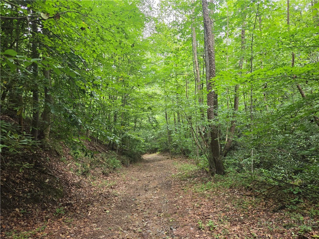 Image number 6 for the current listing