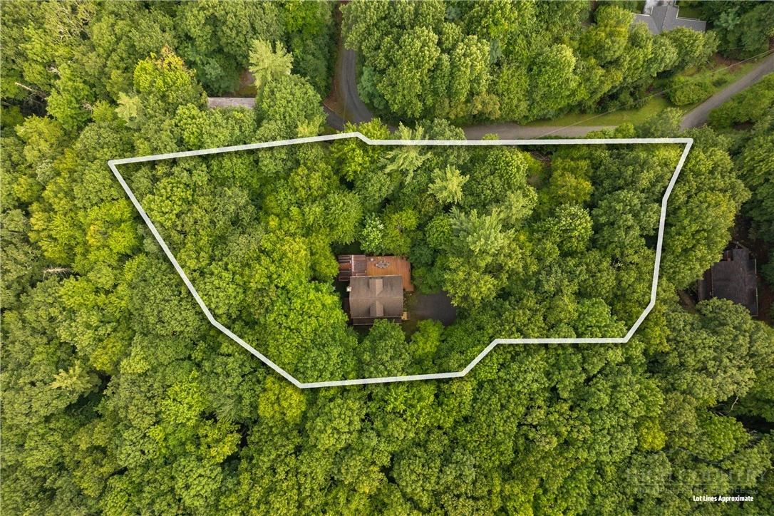 Image number 7 for the current listing