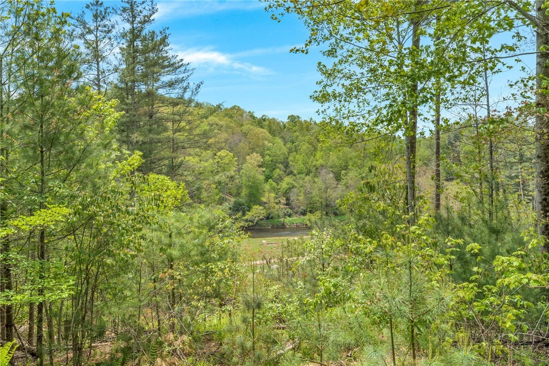 Image number 15 for the current listing
