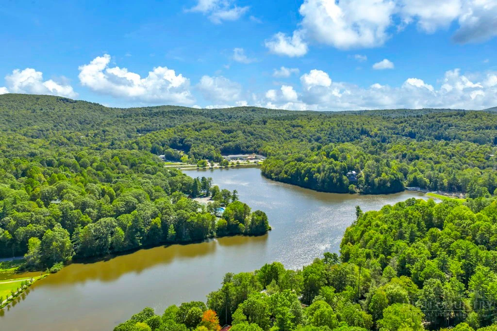 Image number 4 for the current listing