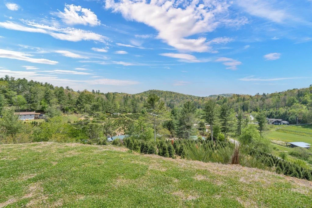Image number 21 for the current listing
